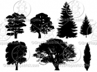 Royalty Free Tree Vector Sihouettes